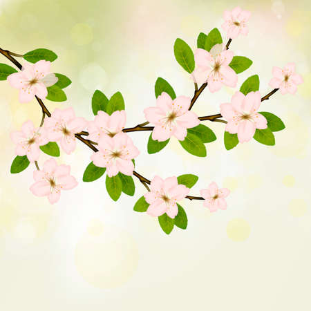 Blooming branch vector with pink spring blossom. Card with text place. Cherry flower blossom branch, peach bloom, sakura branch.のイラスト素材