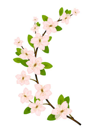 Blooming branch vector with pink spring blossom. Card with text place. Cherry flower blossom branch, peach bloom, sakura branch.のイラスト素材