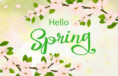 hello spring background with Cherry flower blossom branch, peach bloom, sakura branch with bokeh. Vector illustrationのイラスト素材