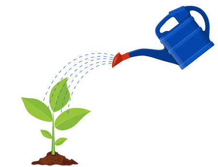 Young plant with watering can vector illustration.のイラスト素材