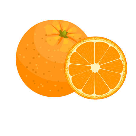 Set of fresh ripe half oranges fruit. vector illustration in flat styleのイラスト素材