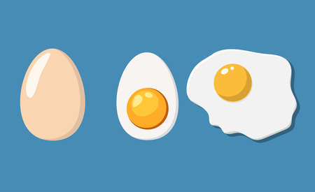 Fried, half and eggs in shell. Eggs isolated on background. Vector illustration in flat styleのイラスト素材