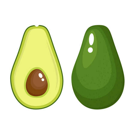 avocado food icon.