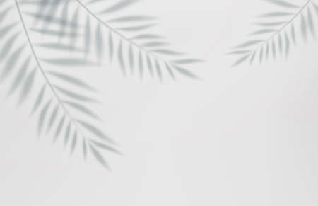Empty studio abstract background