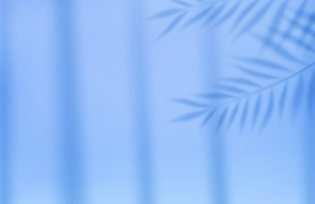 Empty studio abstract backgroundのイラスト素材