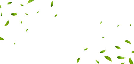 Green leaves border.のイラスト素材