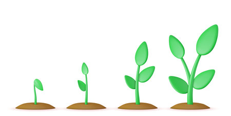 3d sprouts. Phases plant growing.のイラスト素材