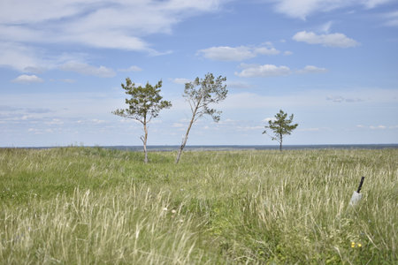 Russian rural landscape with yellow green dry field under beautiful bright cloudy sky. Ulyanovskの写真素材