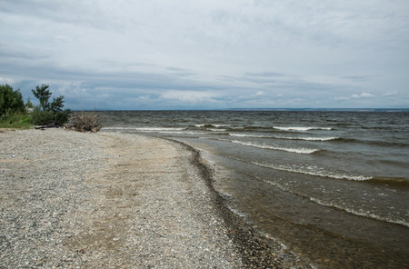 pebbles on the shore. rocky bank by the river. many different stones and flints. background. top viewの写真素材