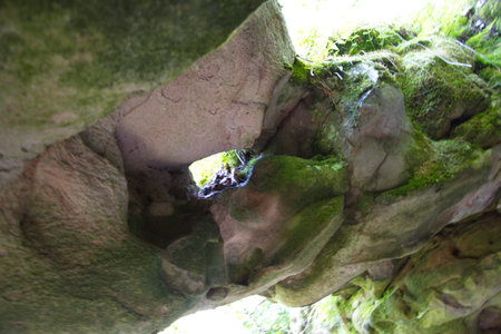 The picture shows huge boulders, big stones, in a summer green forest. Ulyanovsk, Russia