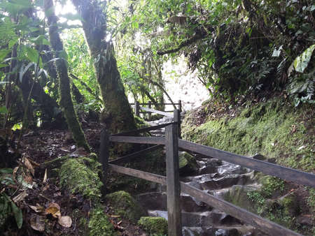 wet stone pathway with wooden fence in the forest. Banos Ecuador