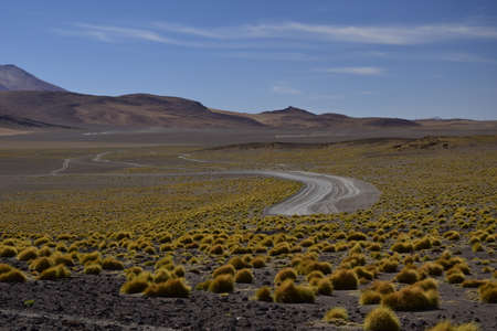 National park Eduardo Avaroa. Bolivia, South America.