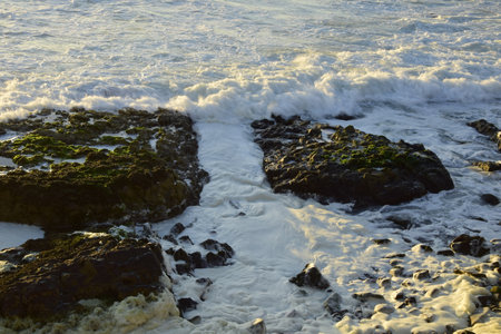 Sea foam among the rocks on the ocean coast. Antofagasta, Chile