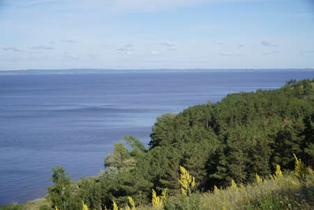 Picturesque Summer landscape with tree and herbs on the Volga River coast. Ulyanovsk.の写真素材