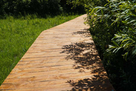 View of wooden deck among tall green grass and bushes. lifestyle, walking in the park, healthy...