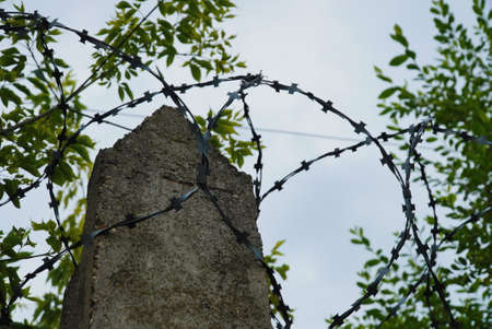 Barbed wire on a pole above a concrete fence against a cloudy sky and green foliage of treesの写真素材