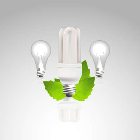Photorealistic Vector / energy efficiency light Bulbのイラスト素材