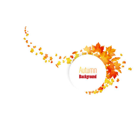 Autumn leaves design elementsのイラスト素材