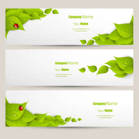 Eco banner set, fresh green leaves designのイラスト素材