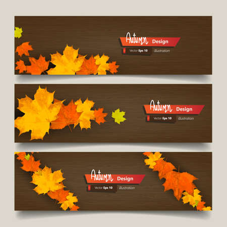 Vector set of colorful autumn leaves banners illustrationのイラスト素材
