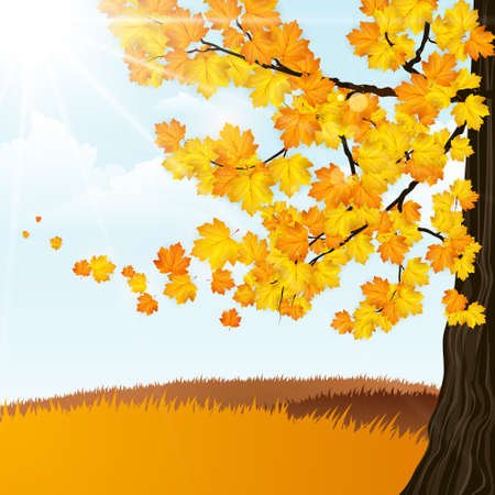 Autumn Landscape Vectorのイラスト素材