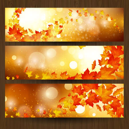 Vector set of colorful autumn leaves banners illustrationのイラスト素材