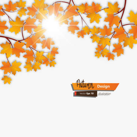 Beautiful autumn background with maple autumn leavesのイラスト素材