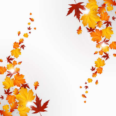 Autumn leaves background design, vectorのイラスト素材