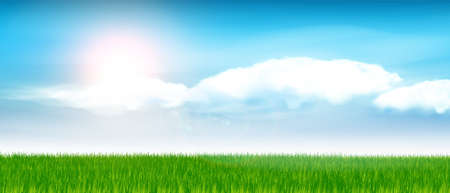 Green grass and blue Vector sky.Realisticのイラスト素材