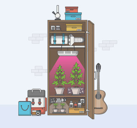 Flat Design, Quality of medical cannabis growing in indoor cabinet. Vector illustrationのイラスト素材