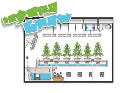 Medical Marijuana Hydroponics Grow Vector Concept in Flat Design.のイラスト素材
