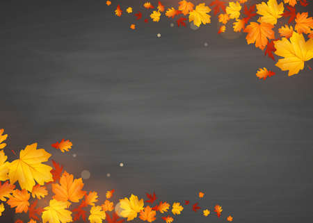 Autumn leaves on the black chalkboard. Vector Illustration.のイラスト素材