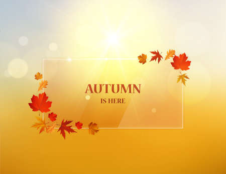 Autumn abstract design backdrop on autumn bokeh backgroundのイラスト素材