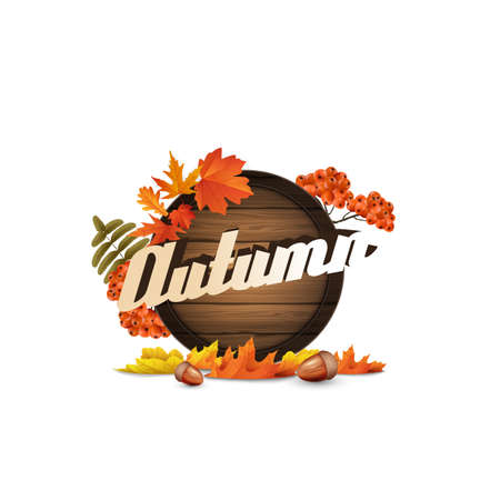Vector realistic illustration of autumn wooden signboard. Vector autumn design. with leaves and rowan berries.のイラスト素材