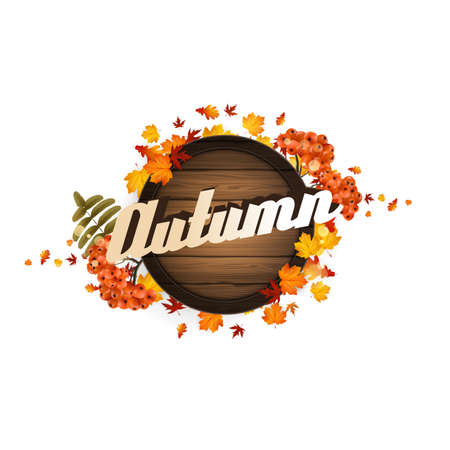Vector realistic illustration of autumn wooden signboard. Vector autumn design. with leaves and rowan berries.のイラスト素材