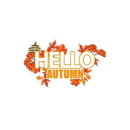 Hello, Autumn trendy calligraphy. Vector illustration with autumn leaves and rowan berries,のイラスト素材