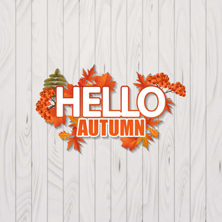 Hello, Autumn trendy calligraphy. Vector illustration with autumn leaves and rowan berriesのイラスト素材