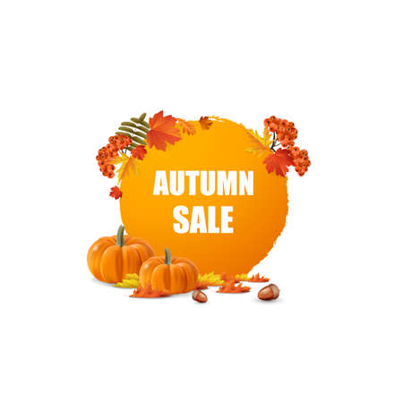 Golden autumn sale seasons, and rowan berry bouquet of leaves, pumpkin, abstract vector art design.のイラスト素材