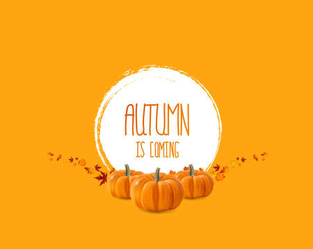 Vector frame with elegant composition of autumn leaves.のイラスト素材