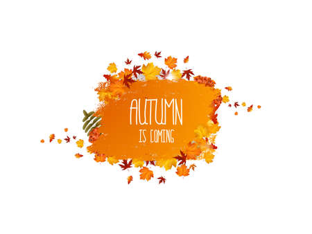 Vector frame with elegant composition of autumn leaves.のイラスト素材