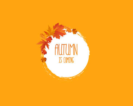 A Vector frame with elegant composition of autumn leaves.のイラスト素材