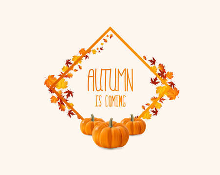 Autumn is coming, pumpkin Vector frame with elegant composition of autumn leaves.のイラスト素材