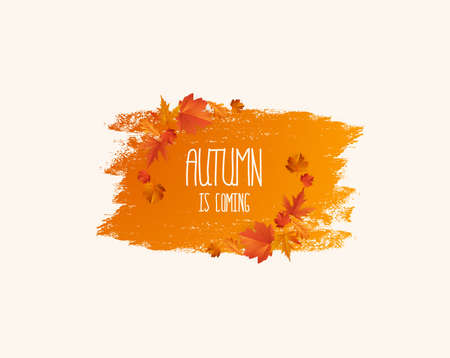 Vector frame with elegant composition of autumn leaves.のイラスト素材