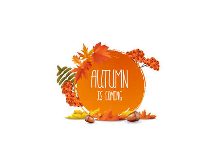 Vector frame with elegant composition of autumn leaves.のイラスト素材