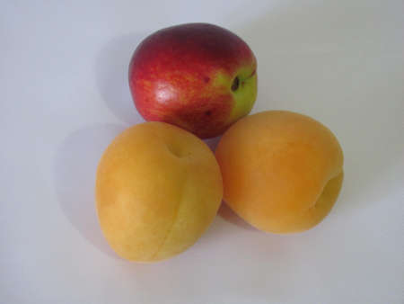 fruitの写真素材