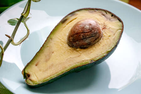 avocado on a plate