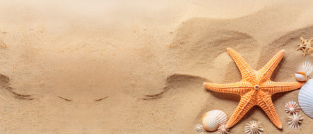 Seashells and starfish on the sand. Summer conceptの素材