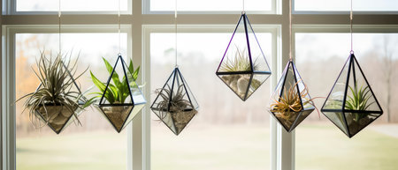 Houseplants in pots hanging on the windowsill. Interior design conceptの素材
