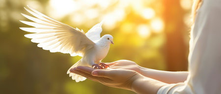 Female hand holding a white dove on nature background. Concept of peace and love.の素材