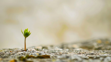 A small green plant is emerging from the soil, displaying early signs of growth and new life. The plants delicate stem and leaves are reaching towards the sunlight, symbolizing the cycle of nature and the resilience of life.の素材